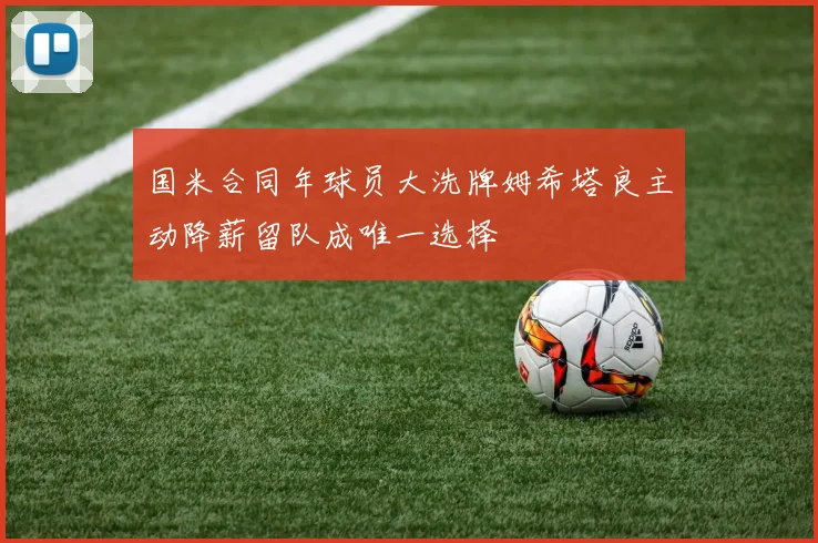 国米合同年球员大洗牌姆希塔良主动降薪留队成唯一选择